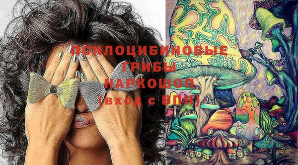 мдпв Тайга