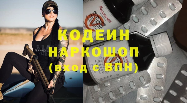 гидра Сясьстрой