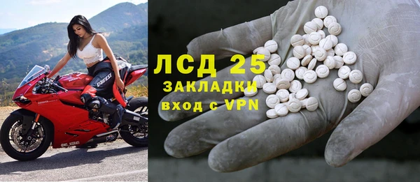 прущие грибы Бугульма
