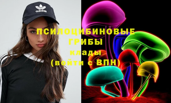 твердый Верея