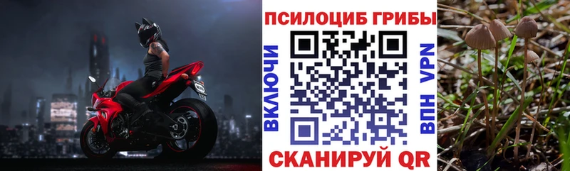 МЕГА вход  Выборг  Галлюциногенные грибы Magic Shrooms  как найти закладки 